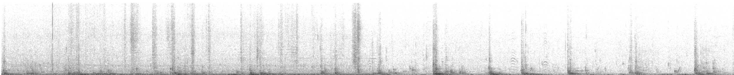 Wedge-tailed Shearwater - ML647192318