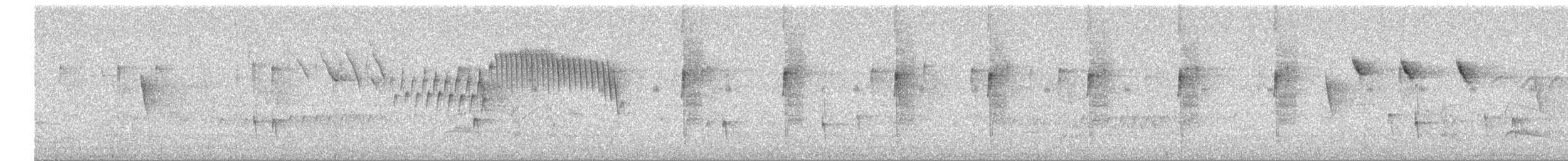 White-bellied Hummingbird - ML647192331