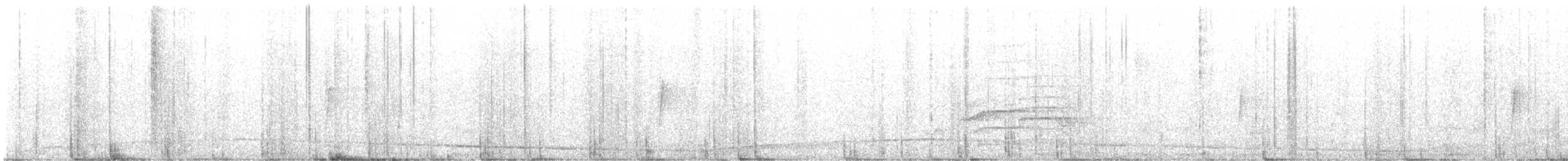 Roadside Hawk (Northern) - ML647192408