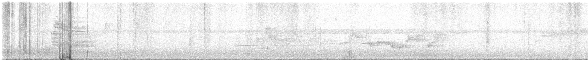 ברחשית כחלחלה - ML647192487