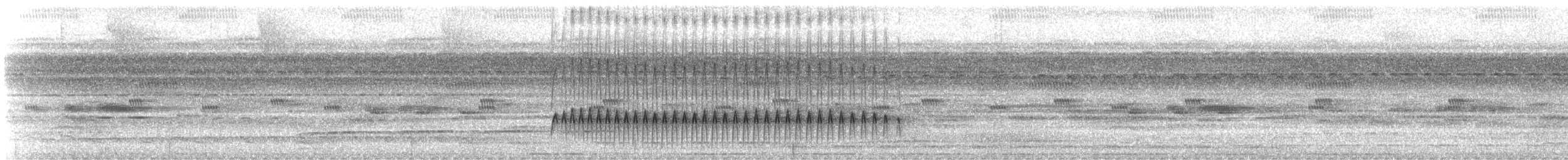 Jejenero Orejudo - ML647192511