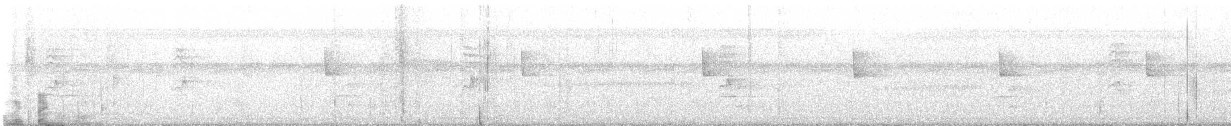 Olivaceous Woodcreeper (Grayish) - ML647192705