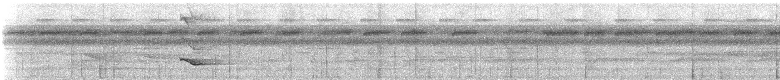 Кокоа колумбійський - ML647192706