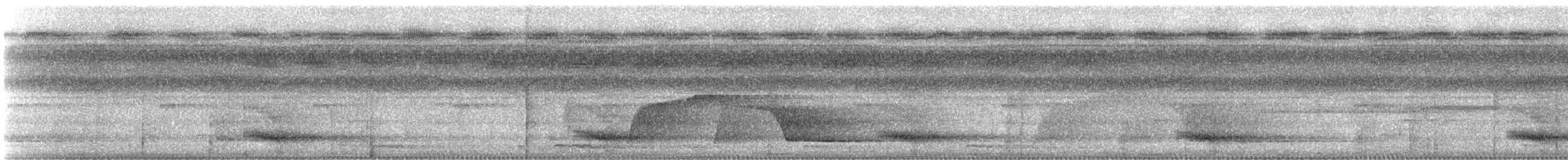 Channel-billed Toucan - ML647192713