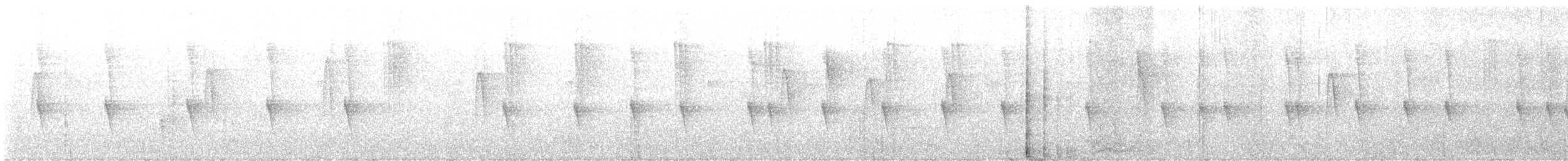 Колібрі-шаблекрил юкатанський (підвид excellens) - ML647192877