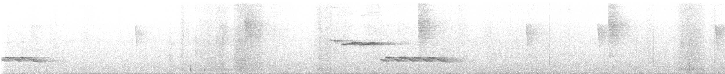 Тріщук біловолий [група prostheleuca] - ML647192884