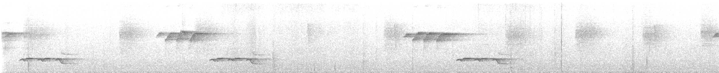 Тріщук біловолий [група prostheleuca] - ML647192942