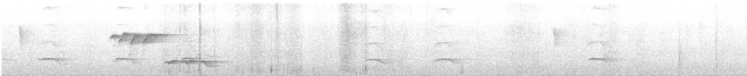 Tropical Royal Flycatcher (Northern) - ML647192959