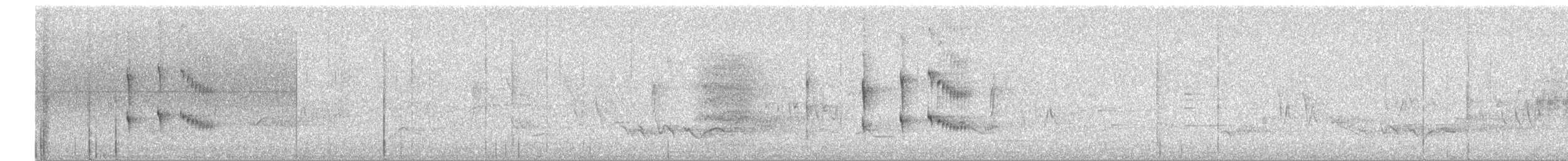 Тітіріджі білочеревий - ML647193119