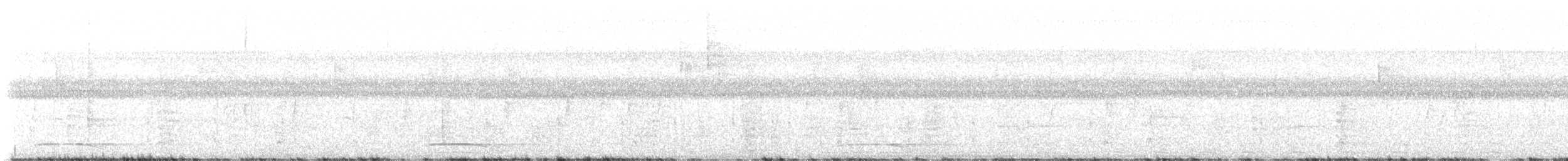 Рарія білошия - ML647193232