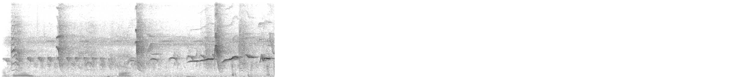 Ману тирановий (підвид tyrannina/crepera) - ML647193354