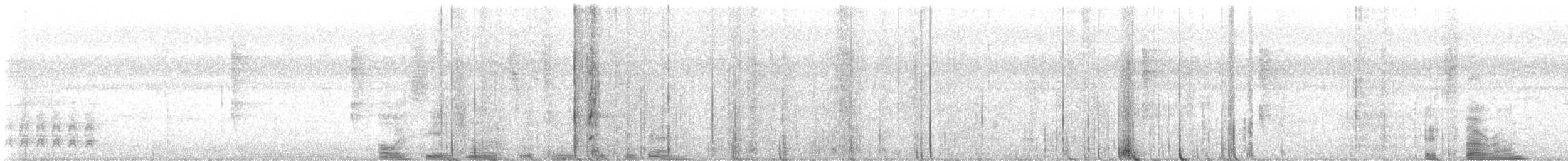 Мишовій тонкодзьобий - ML647193423