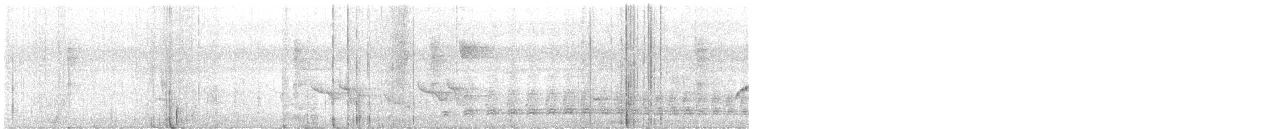 Мишовій тонкодзьобий - ML647193492