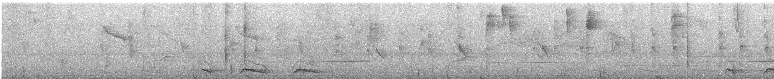 Hispaniolan Trogon - ML647193570