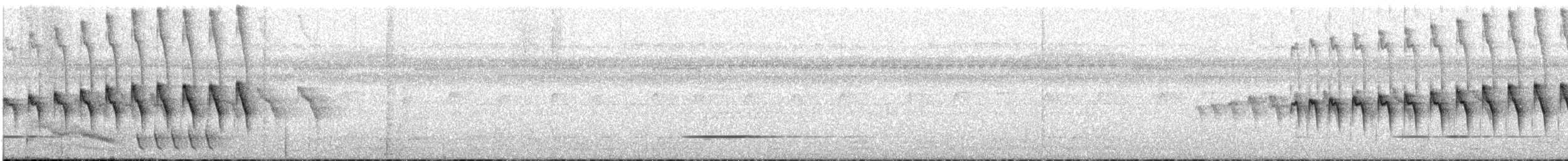 Black-throated Antbird - ML647193590