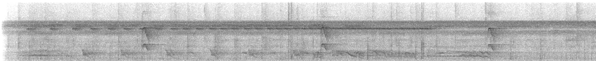 White-crested Spadebill - ML647193678