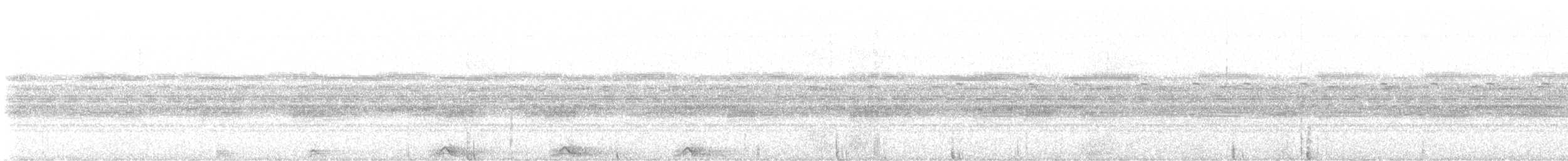 puštík proměnlivý [skupina virgata] - ML647193695