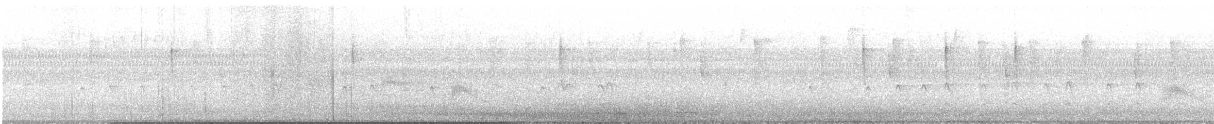 Couch's Kingbird - ML647193781