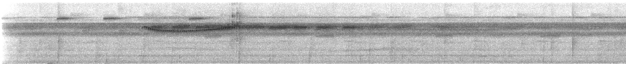 Golden-crowned Spadebill - ML647193821