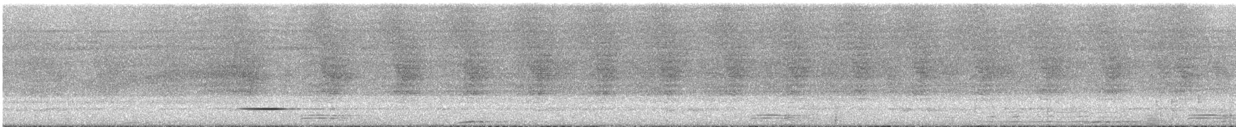 momot širokozobý - ML647193859