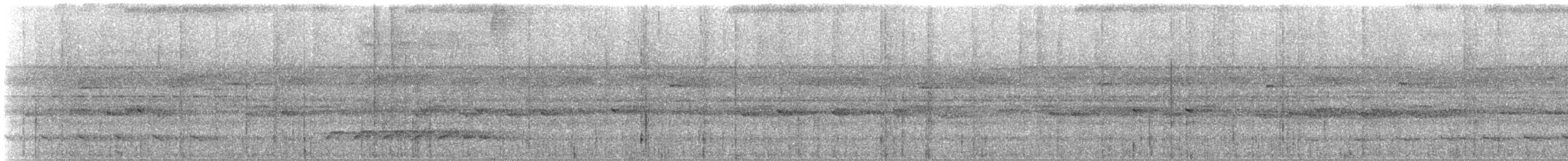 Dendrocolaptes sp. - ML647193896