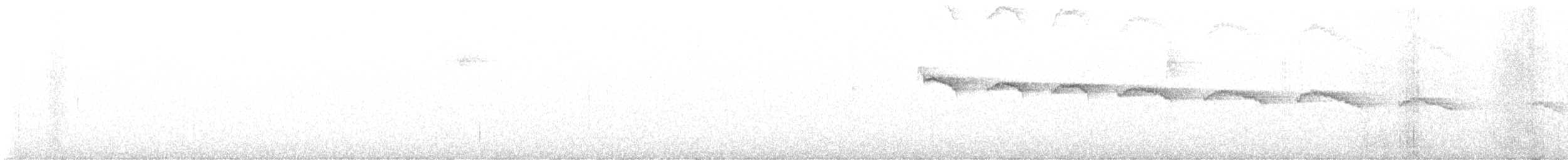 Middle American Leaftosser (Mexican) - ML647193945