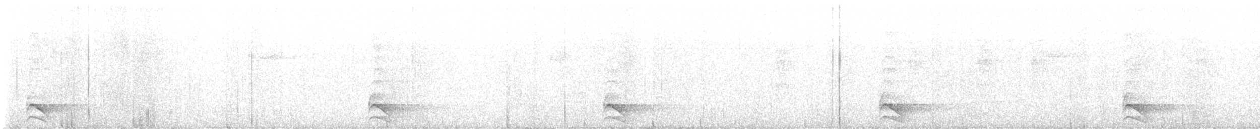 sokolec pralesní - ML647194051