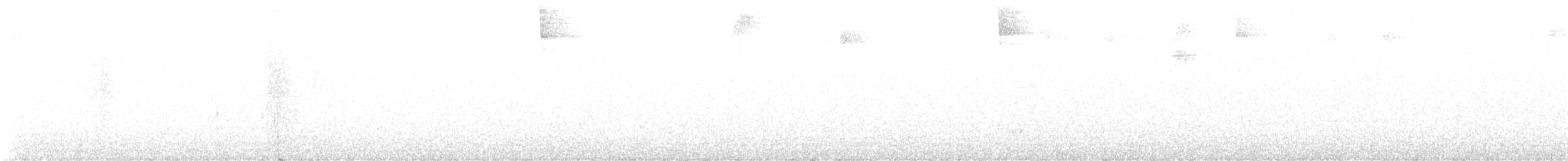 hummingbird sp. - ML647194096