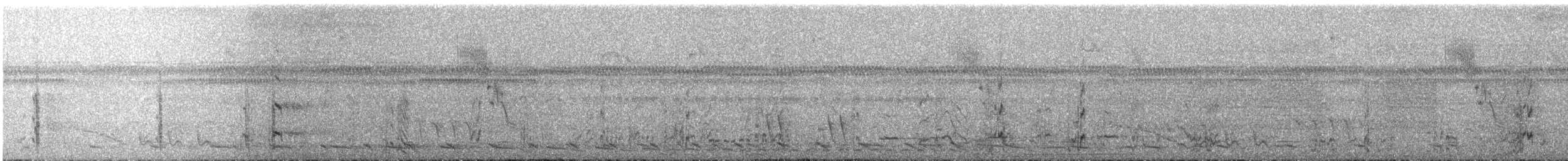 Sarı Alınlı Amazon - ML647194667