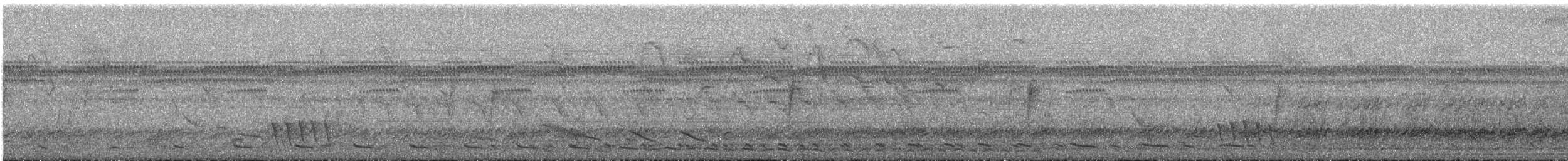 Sarı Alınlı Amazon - ML647194727