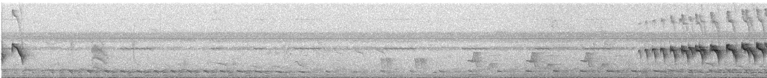 ノドグロアリドリ - ML647194842