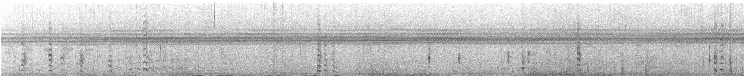 シャカイハタオリ - ML647194855