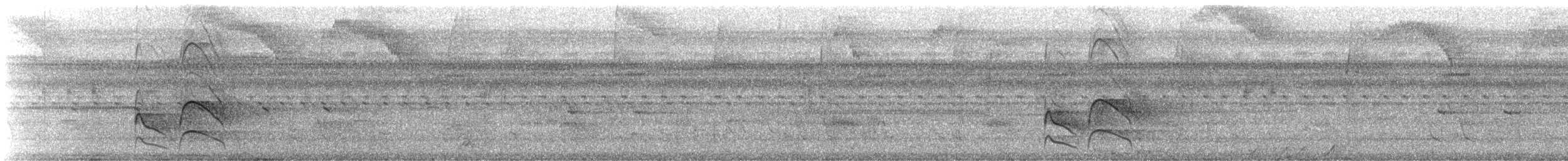 Tyran quiquivi - ML647194888