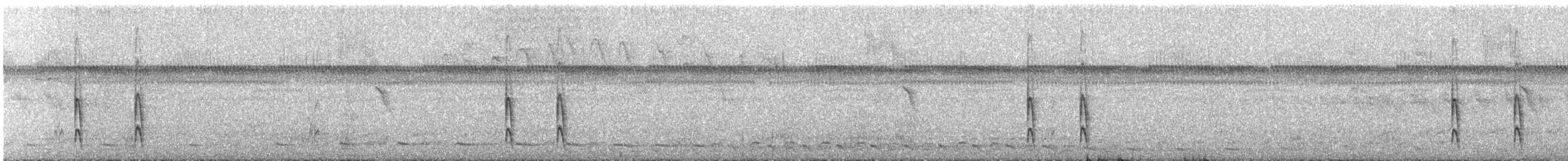 Mouse-colored Tyrannulet - ML647194921