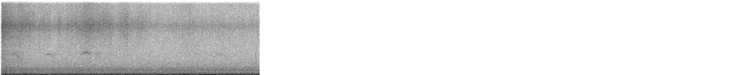 Mokolodi bekainoria - ML647195195