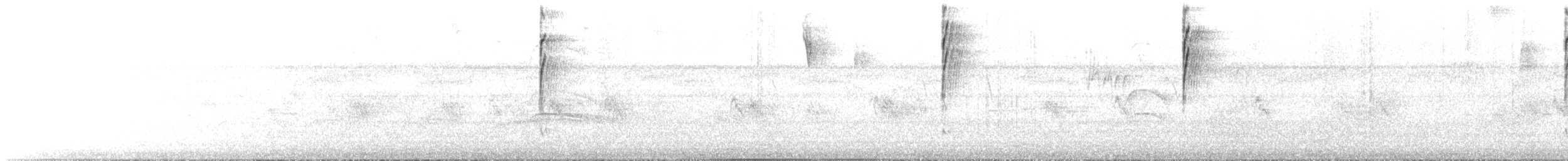 Sucrier à ventre jaune - ML647195646