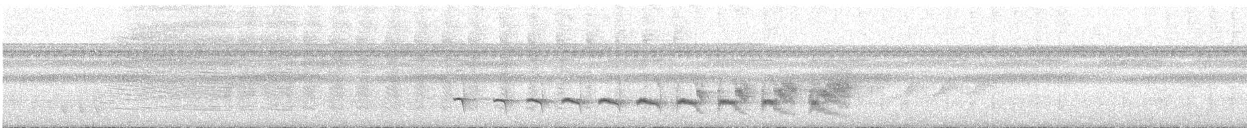 Peruvian Warbling-Antbird - ML647196107