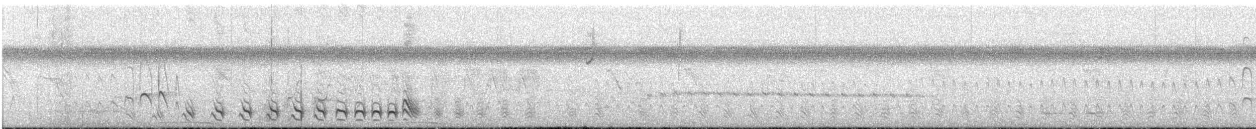 Batará Barrado - ML647196668