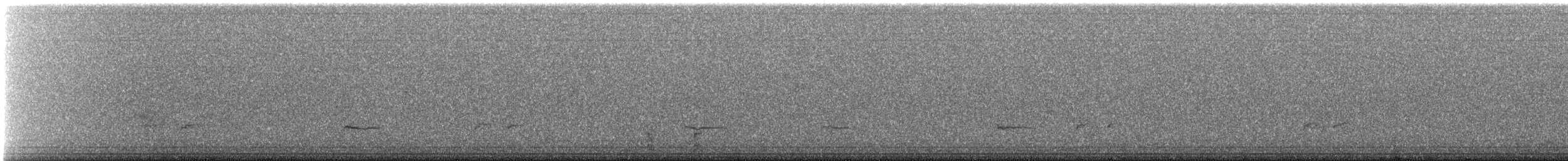 Say's Phoebe - ML647196719