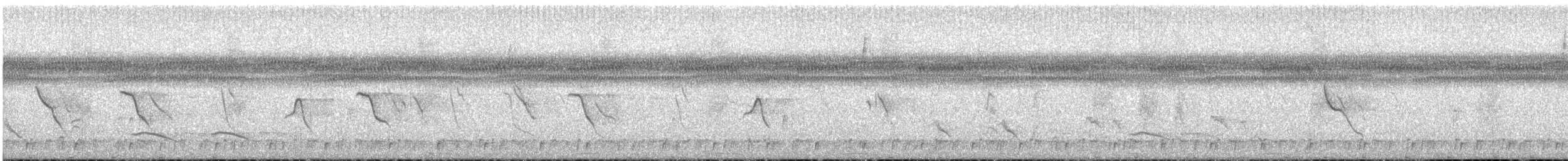 Paint-billed Crake - ML647198790