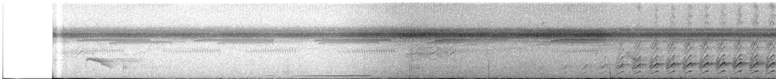 Lineated Woodpecker - ML647199006