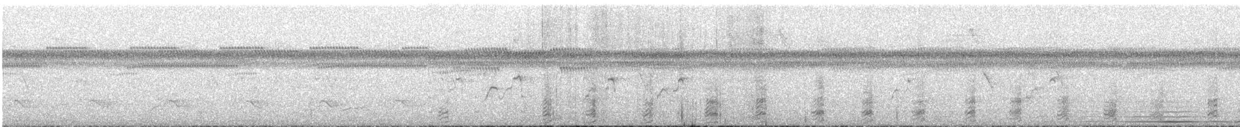 アカアシコガモ - ML647199125