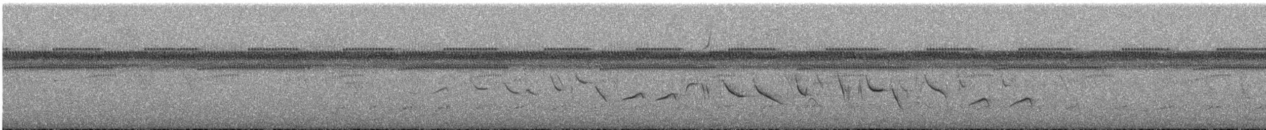 ヒメコメワリ - ML647199146