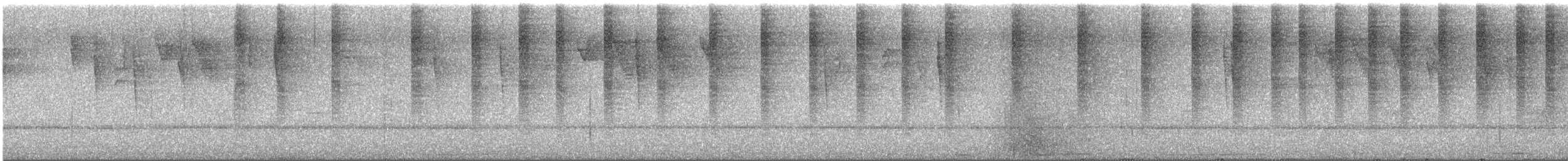 Amazilia Canela - ML647199210