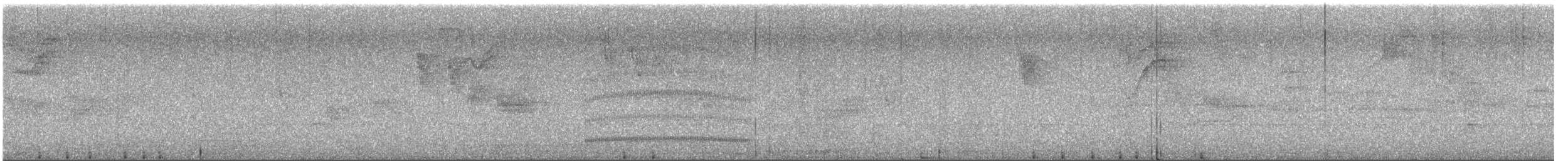 Mosquerito Piquicurvo Norteño - ML647199219