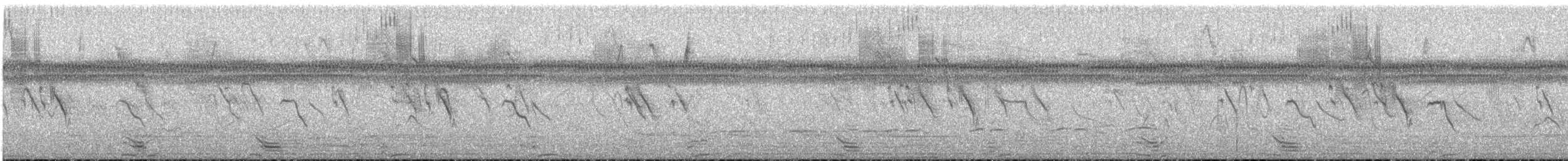 Chajá Añuma - ML647199477