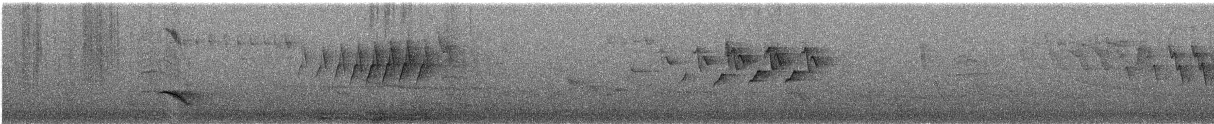 סבכון חכלילי - ML647200442