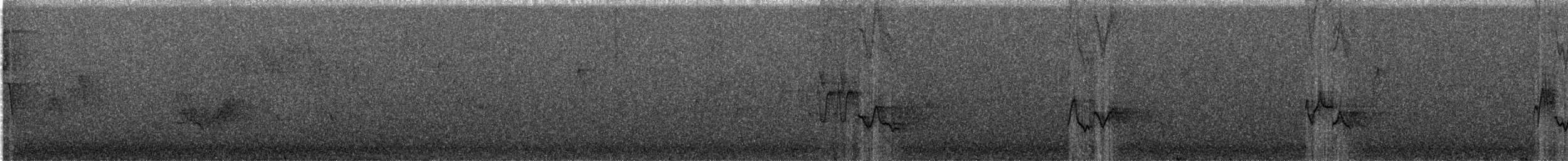 Red-eyed Vireo - ML647200491