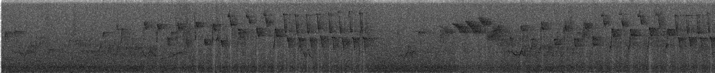 Червоїд світлобровий - ML647200672