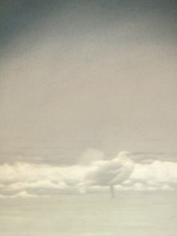 アイスランドカモメ（亜種 クムリーンカモメ） - ML647201225